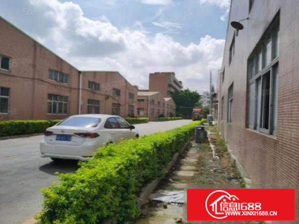 观澜章阁新出原房东单一层钢构2100平出租