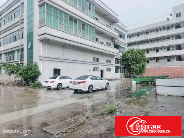 松岗新出原房东独门独院厂房一致三层15000平方出租