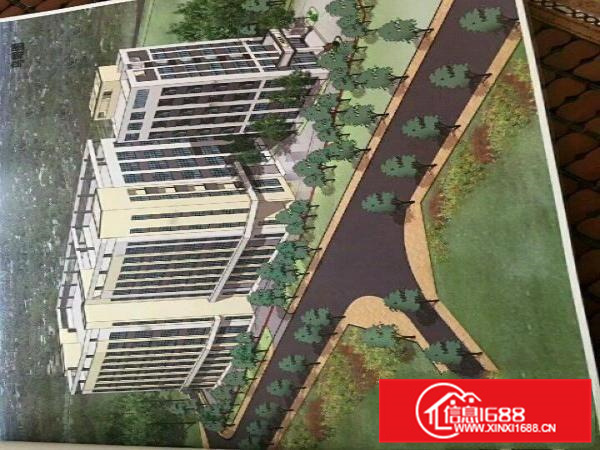 沥林沥林高速出口厂房31000平米