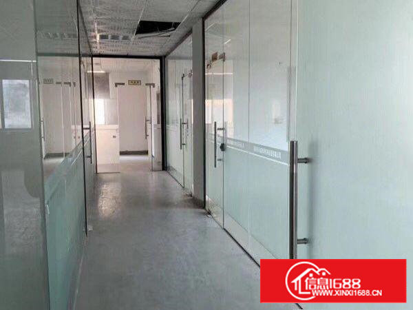 沙井新桥国道边1-3楼各1000平大小分租带红本村委直租