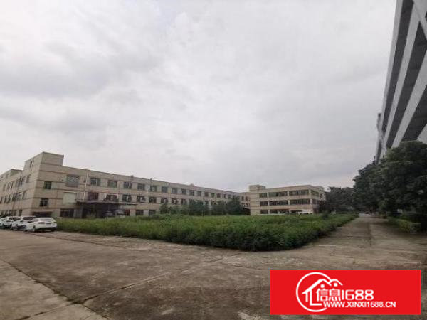 黄江独门独院厂房出租占地35000平方集体流转带房产证