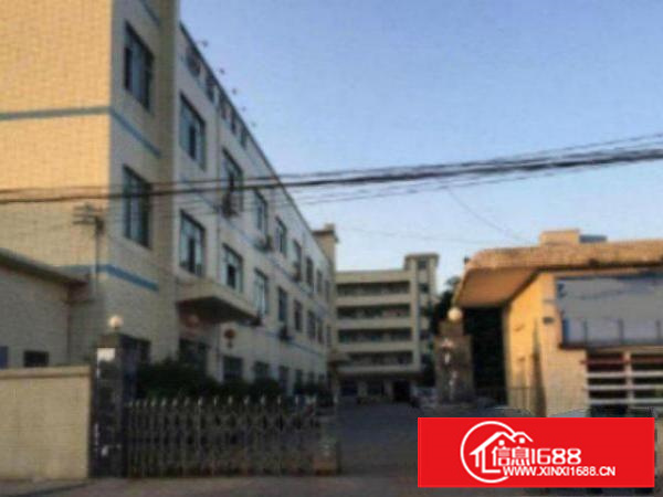 万江1000、2000、3000平方1出租两层含有办公