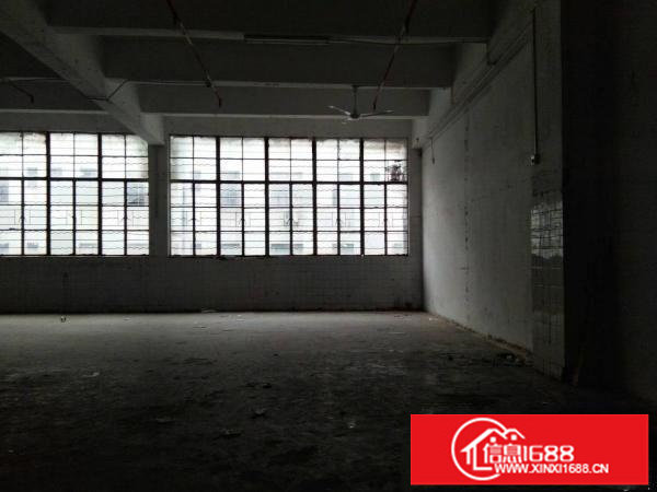 龙岗区平湖华南城旁一楼6米高标准厂房出租