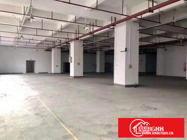 旧村出租一楼300平，无公摊，好办环评