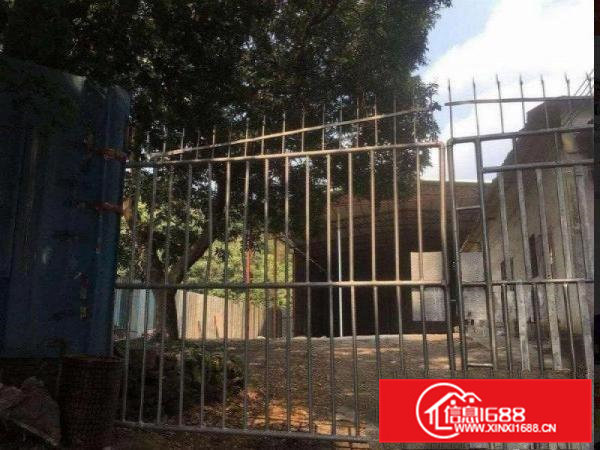 桥头屋厦独院单一层厂房1100平米原房东直租