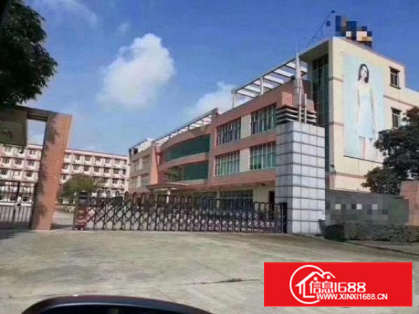 沙井新桥国道边1-3楼各1000平大小分租带红本村委直租