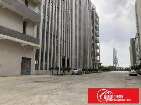 东莞万江中心区新建物流园1000平起租，按需定制，价格优惠！