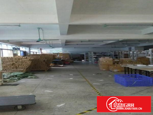 龙岗中心城新出3000平米原房东独栋厂房