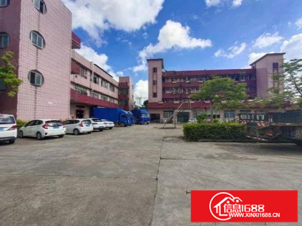 桥头田新原房东标准一楼1500平招租无公摊可分租水电齐全