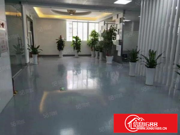 清溪新出楼上无尘车间2800平形象好现成装修价格实惠免费停车