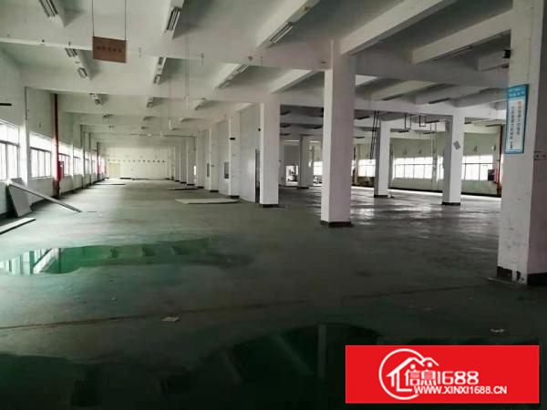 三栋惠南科技园一二楼5000平米有高新技术补贴