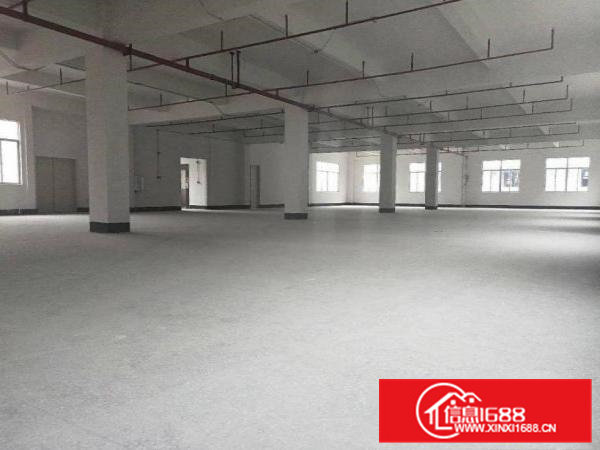 长巷新出标准一楼600平方厂房现成装修5米高