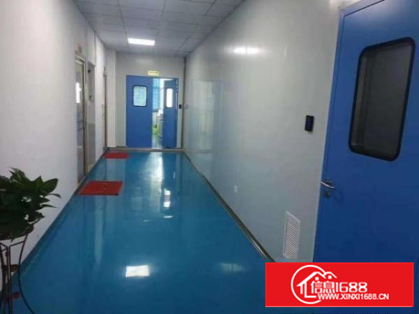 沙井标准十万级无尘车间，1800㎡，