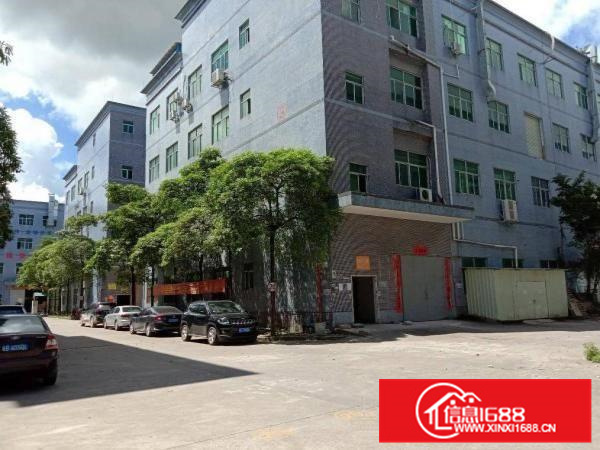 秋长新塘工业园标准厂房出租一楼1000平方