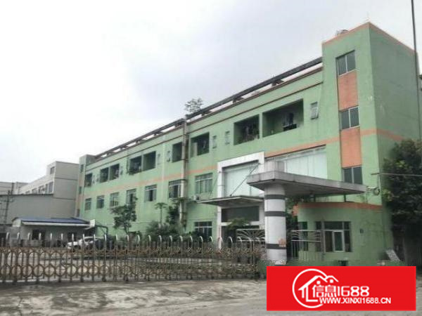 容桂高黎1700平钢结构厂房招租