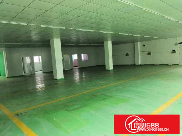 龙岗新生新出精装修标准厂房550平，水电现成，可办环评