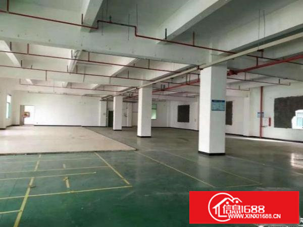 坪山坑梓金沙新出楼上带地坪漆810平，实际面积出租