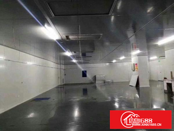 大岭山无尘车间2楼2600平方出租