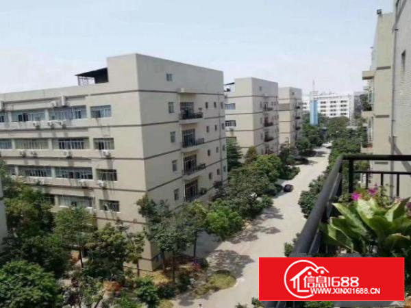 沙井共和原房东1415平米无公摊实际面积厂房出租合同五年