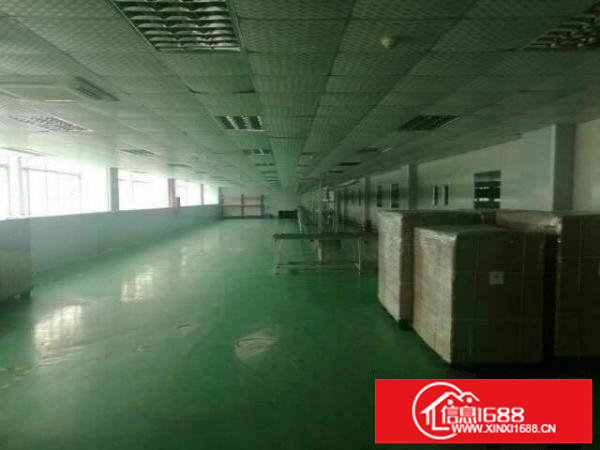 龙岗中心城6500平方厂房出租可分租