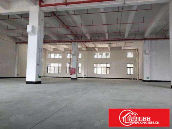 容桂高黎标准首层2500方，电大，形象好，不在拆迁区