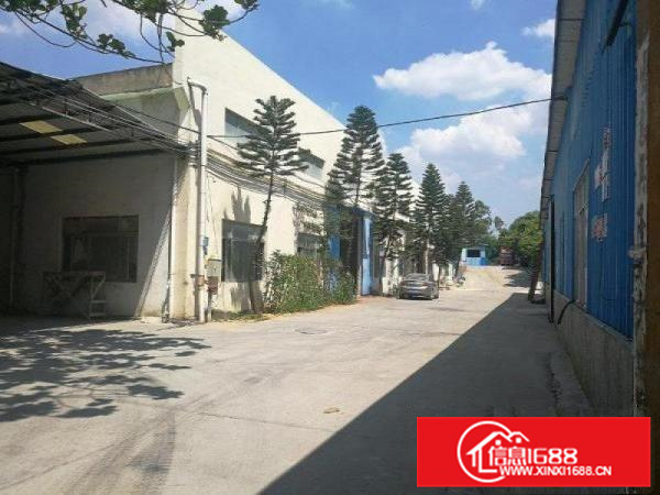 惠阳新圩独院钢构厂房3000可做家私污染行业