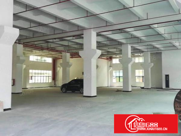 茶山原房东全新独门独院产业园交通便利价格实惠形象好空地大漂亮