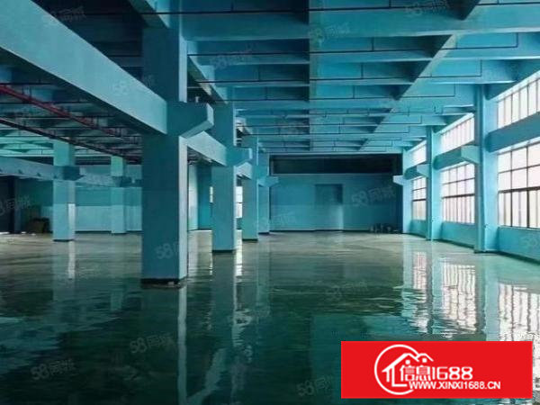 凤岗.油甘浦新出一楼一整层2600平方