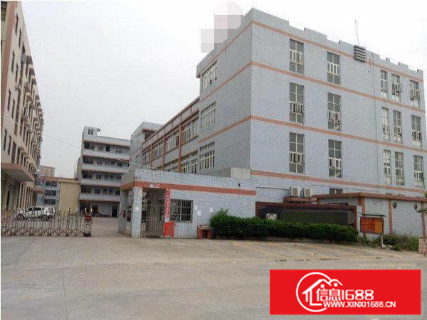 常平镇一楼6米高标准厂房900平方形象好出租带停车位