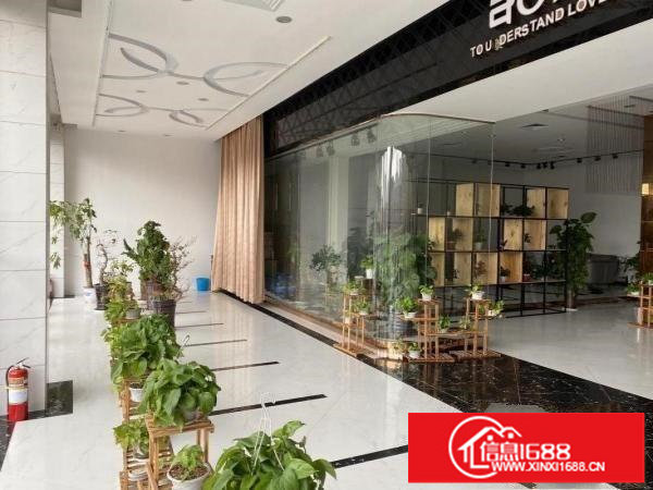 横岗塘坑地铁站边500米新出一楼现成装修展厅办公室400平