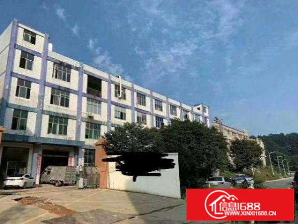 龙岗龙东原房东厂房楼上带装修厂房550平米出租