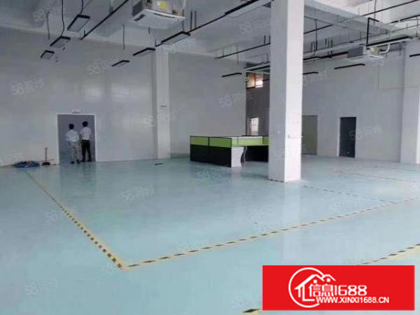 200起松岗高速出口原房东1楼1500平高度6米牛角现成行车