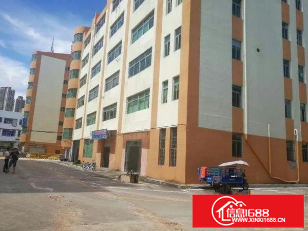 龙华民治展涛科技大厦独栋5栋厂房30000平米