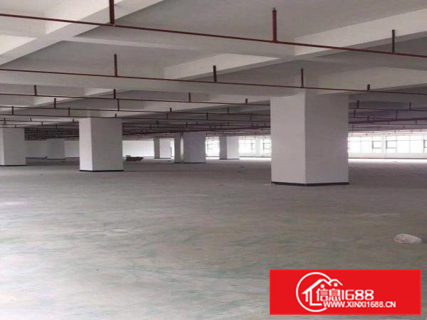 企石原房东独门独院12000平方厂房出租！