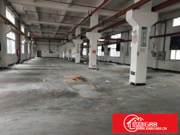 出租龙岗区龙东标准一楼厂房1200平带办公装修