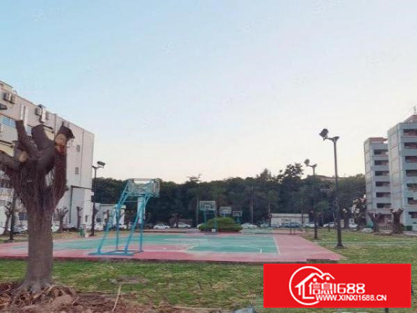 （实图）独院原房东花园式厂房，公摊小，实用率高