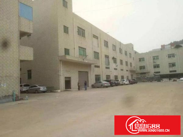 松岗江边新出楼上980平带豪华装修厂房