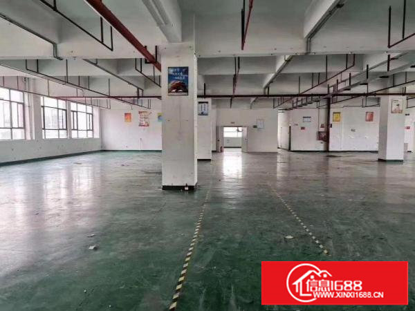 塘厦石潭浦标准3楼475平出租,现成消防喷淋,地坪漆装修