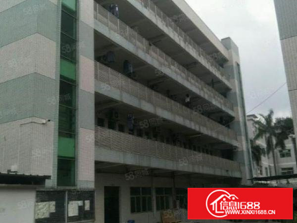 横沥三江工业区3层独门独院6000平米带精装修厂房出租分租