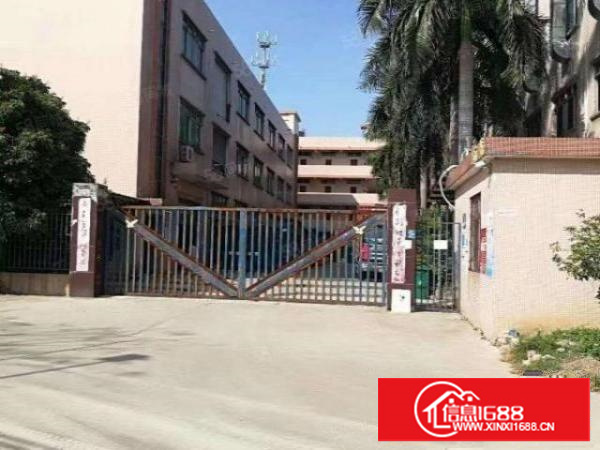 石排原房东700方可实量。价格12可谈周边无居民