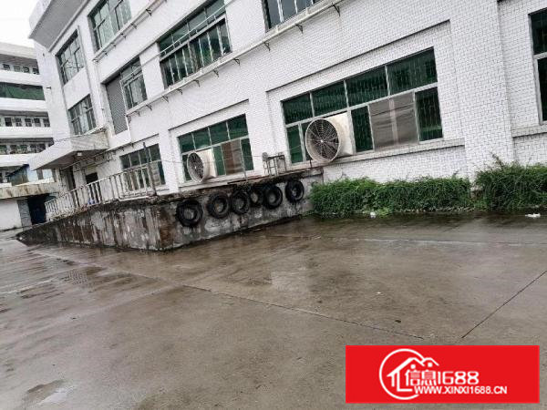 寮步镇原房东厂房出租