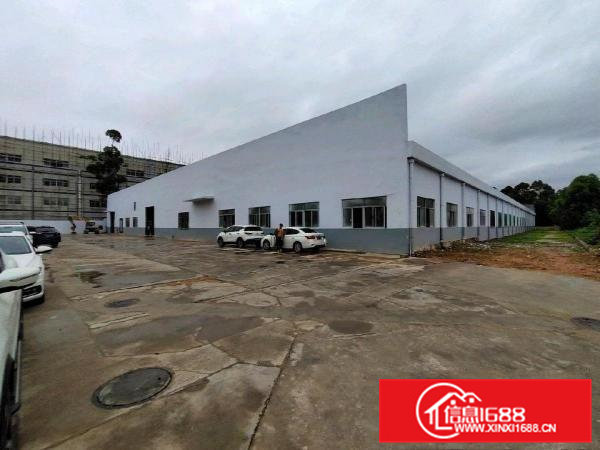 清溪三中原房东单一层7米高独门独院厂房出租可分两独院