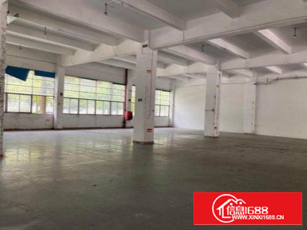 塘头第三工业区一楼1000平，精装修带阁楼