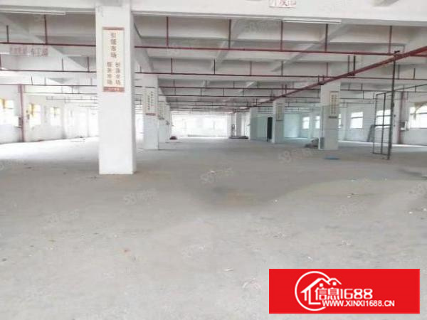 寮步陈家铺标准独院厂房分租一楼500平方工业用地.