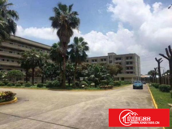 里水房东11元楼层厂房6000方面积实量无公摊可分租环评秒过