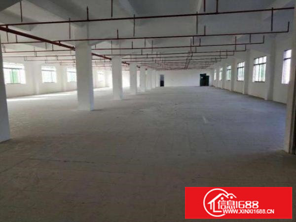 水田精装1800平原房东公摊小电到位无转让费