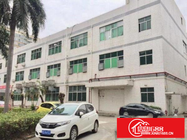 新出楼上1800平带装修特价厂房手慢无