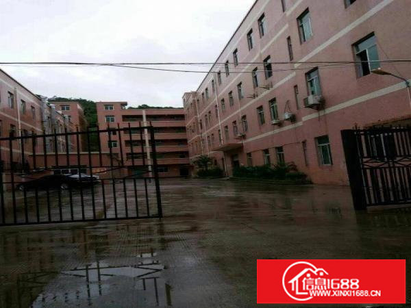 横岗地铁站D出口1350平方厂房出租，带装修可分租