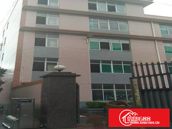 刚出原房东三楼厂房1300平方实用面积