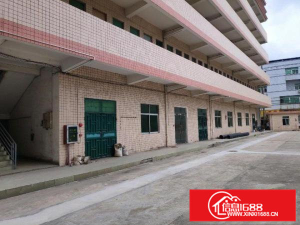 大朗镇独院钢构厂房招租，滴水12米